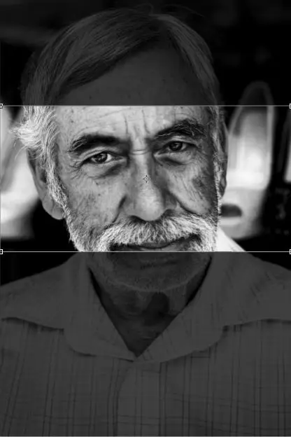 Portrait crop example