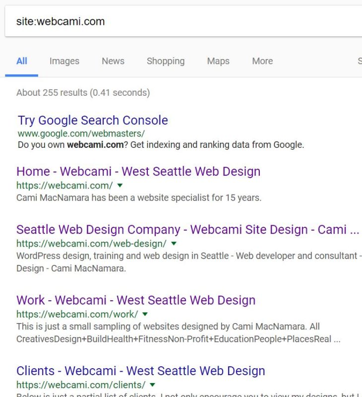 Webcami.com search results in Google