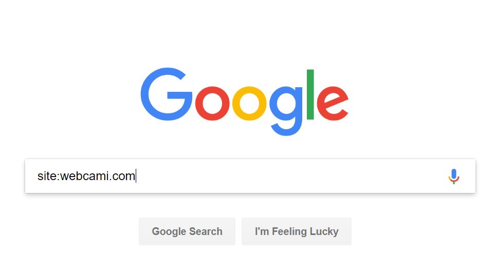 "Check search rankings on a google search page displaying the word 'google'.