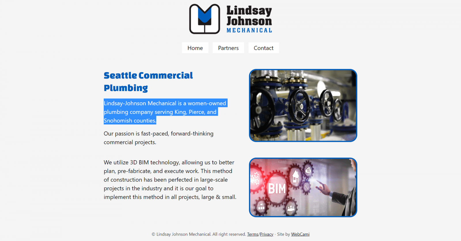 Seattle Commercial Plumbing website home page