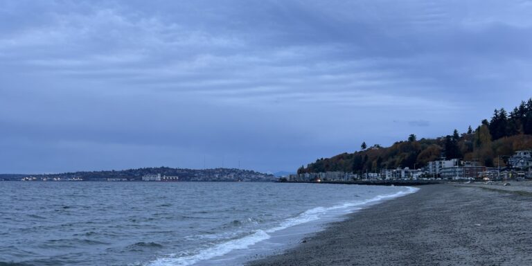 A pebbly shoreline with gentle waves under an overcast sky; distant houses and trees line the right side of the coast—perfect inspiration for a Nice West Seattle web designer seeking tranquil coastal vibes.