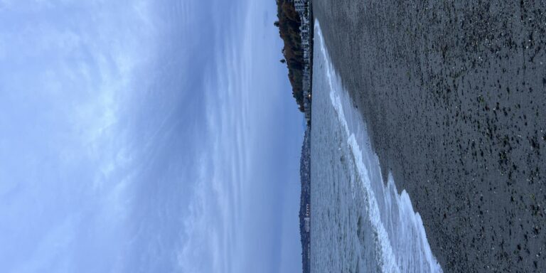 A pebbly shoreline with gentle waves under an overcast sky; distant houses and trees line the right side of the coast—perfect inspiration for a Nice West Seattle web designer seeking tranquil coastal vibes.